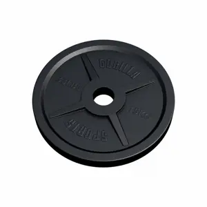 Gorilla Sports Zátěžový kotouč 50/51 mm, litina, 15 kg