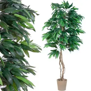 PLANTASIA 1429 Umělá rostlina strom, mango, 180 cm