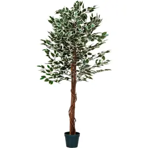 PLANTASIA 27406 Umělý strom rostlina - fíkus - 160 cm