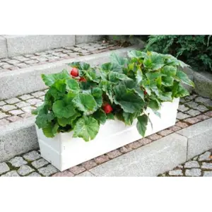 Rojaplast 2686 Dřevěný truhlík na květiny - 44 cm, bílý