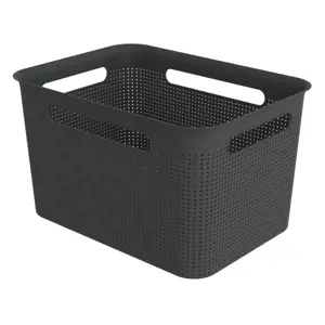 Rotho 92256 ROTHO Úložný box BRISEN, 16 L, plast, černý